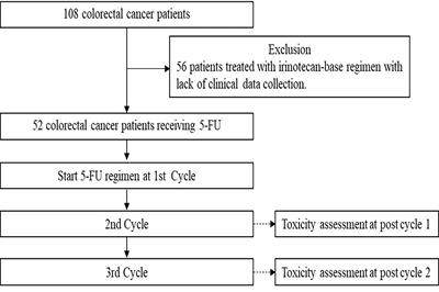 Effects of polymorphisms in the MTHFR gene on 5-FU hematological toxicity and efficacy in Thai colorectal cancer patients